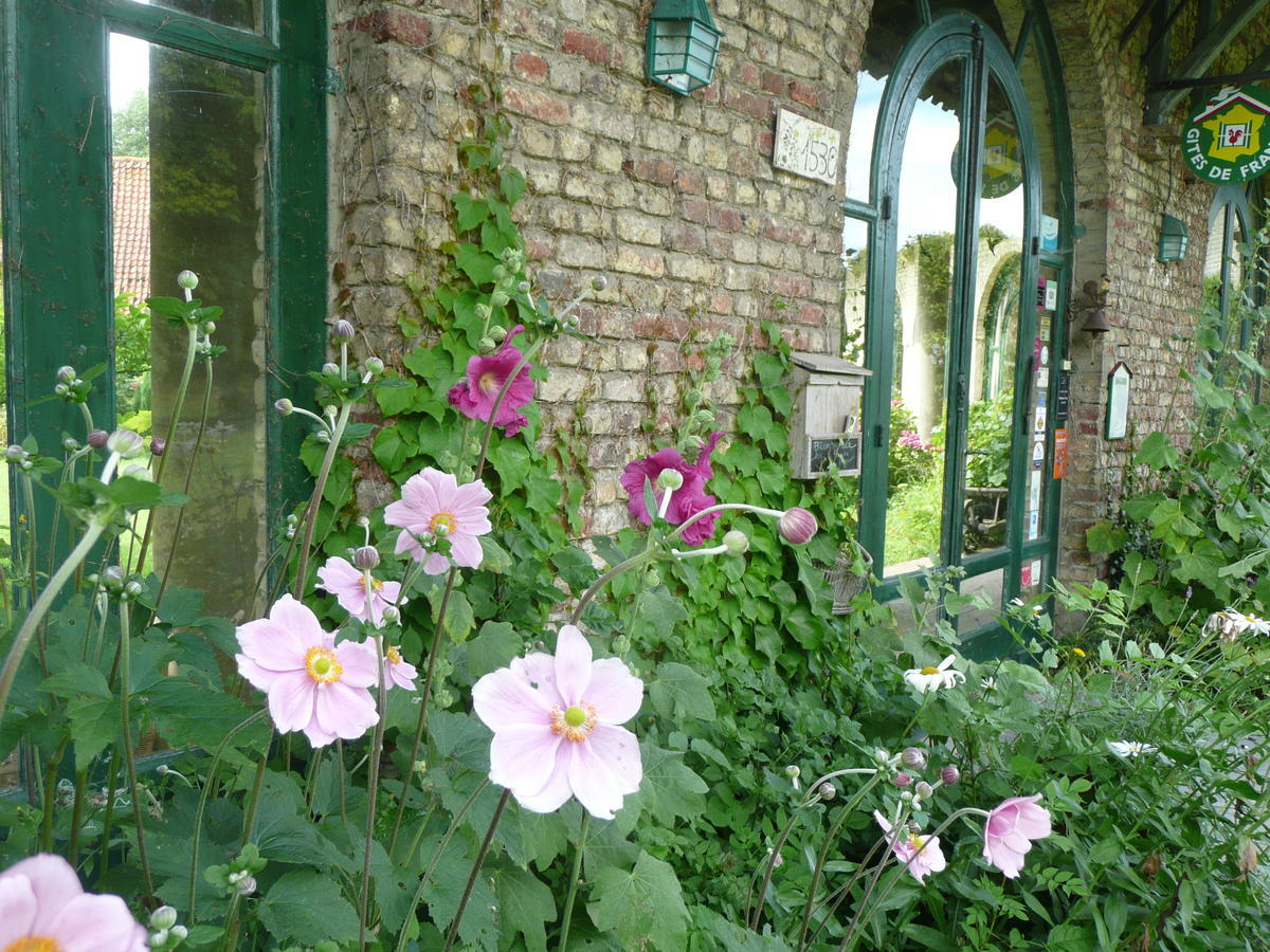 Bed and Breakfast Manoir De Bois En Ardres Екстер'єр фото