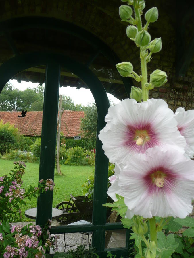 Bed and Breakfast Manoir De Bois En Ardres Екстер'єр фото
